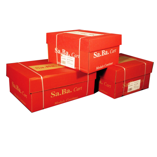 CARTA IN MODULO CONTINUO 24X12'' 60GR (2000FG BIANCO Piste Fisse